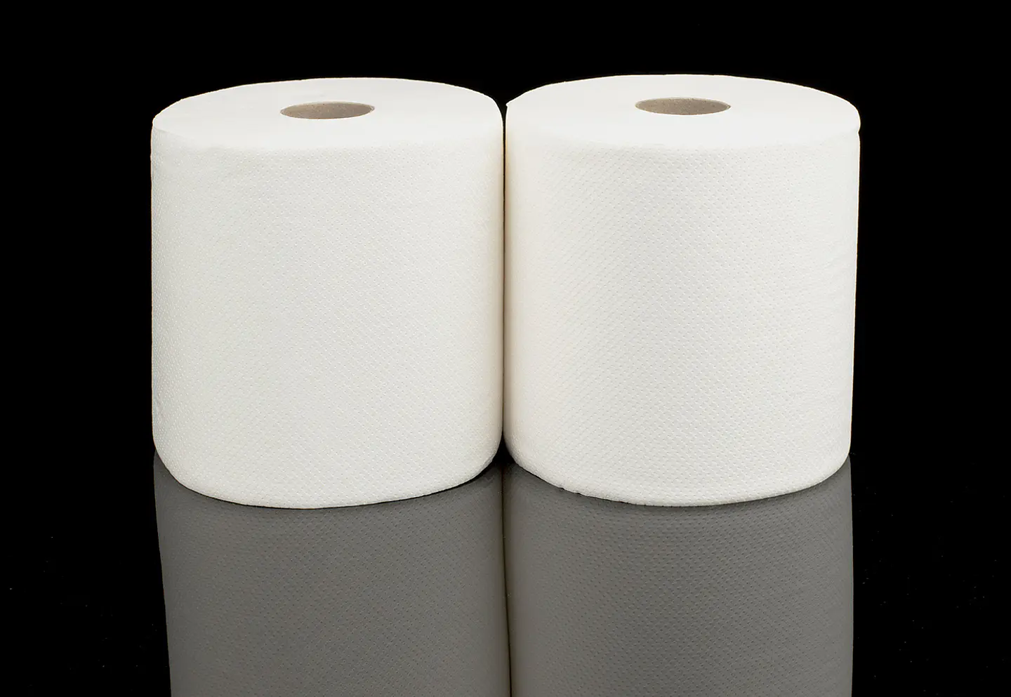 TOALLA PAPEL 250X2 1