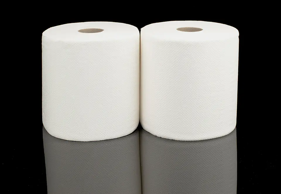 TOALLA PAPEL 250X2 1