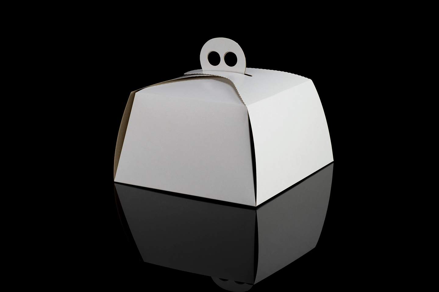 CAJA PANETON BLANCA 1