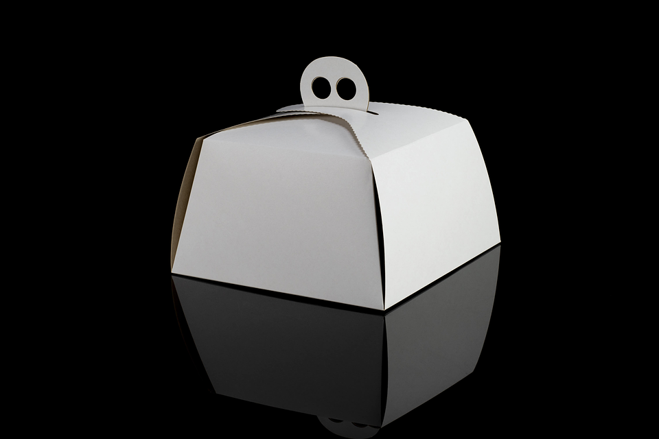 CAJA PANETON BLANCA 1