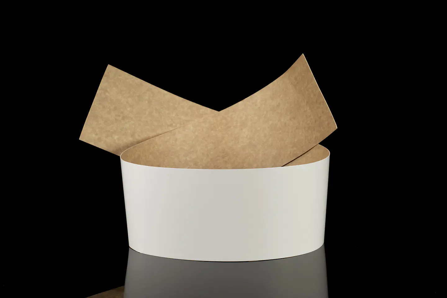 TIRA CARTON BLANCO 120X1260 1