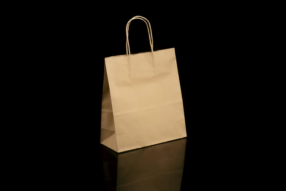 BOLSA DE PAPEL KRAFT 22X10X32 TOR STOCK 1