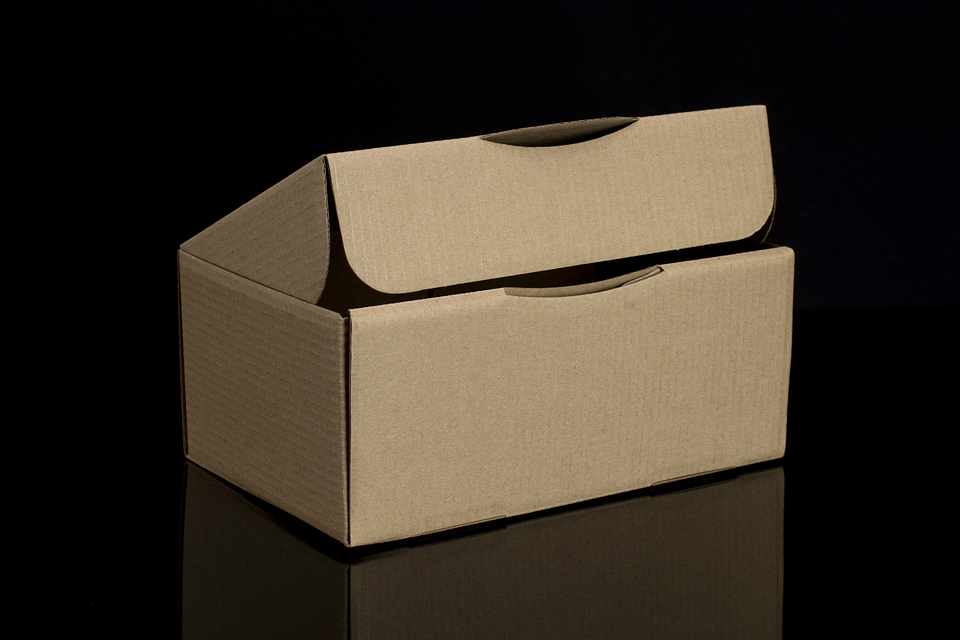 CAJA MULTIUSO KRAFT S/IMPRESIÓN 1