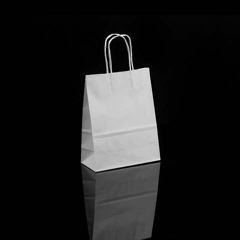 BOLSA KRAFT BLANCA  16X21X8 X12UN