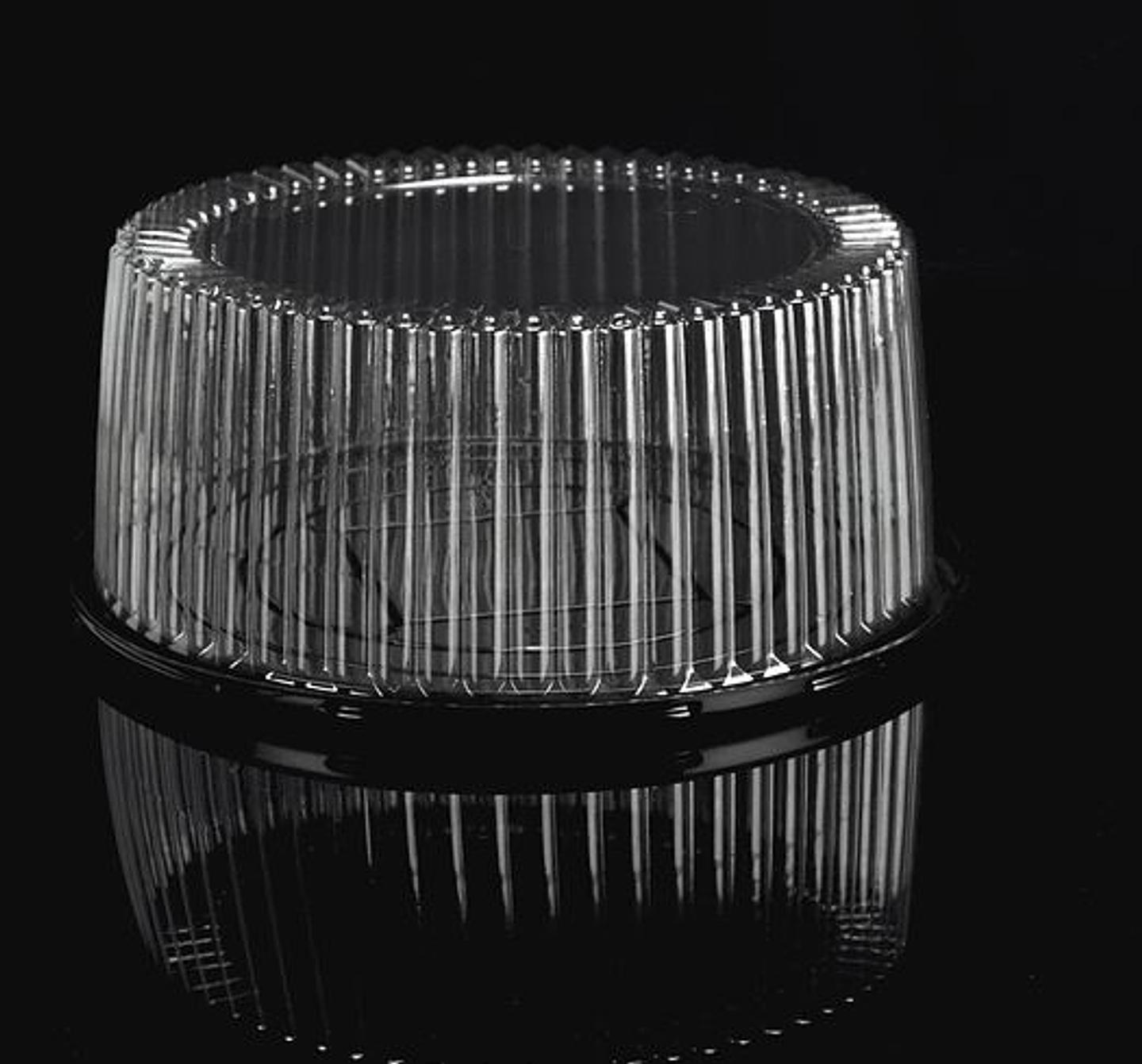 ENVASE TORTA 1025-4 25X12CM 1