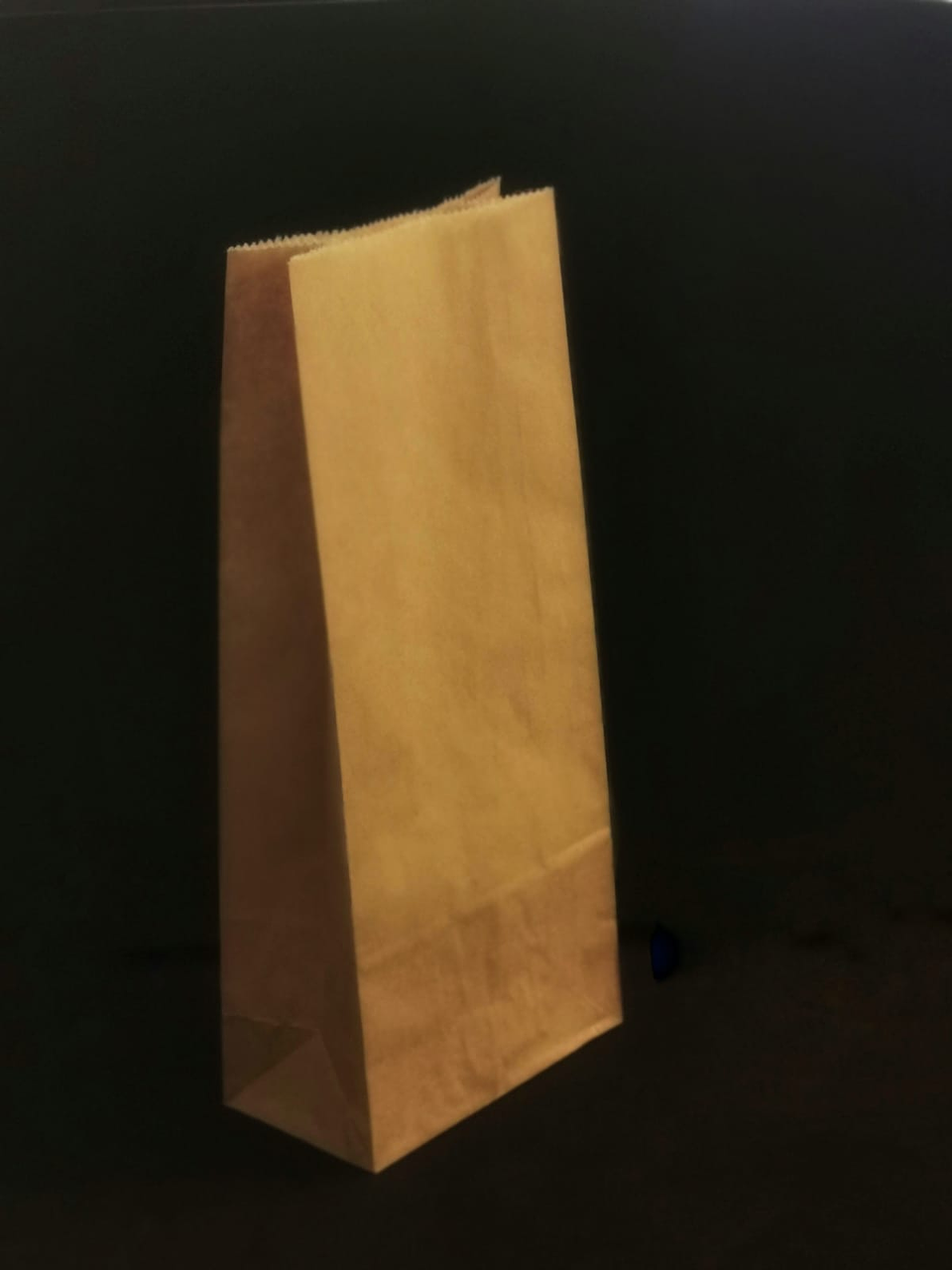 SACO F/CUADRADO 0100 11x6x24,5 1