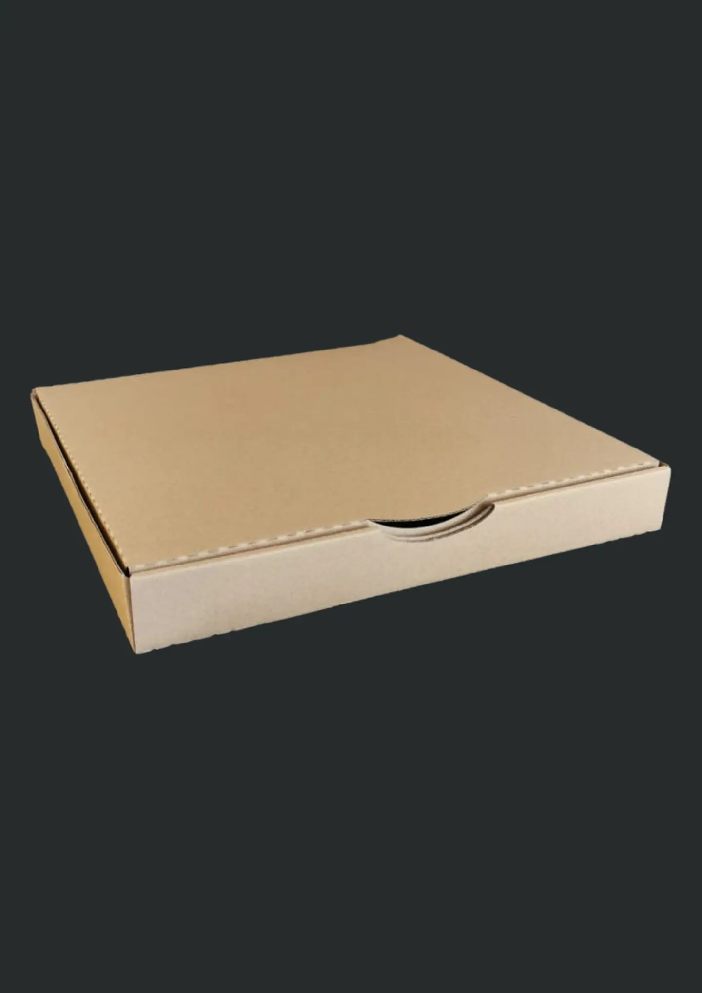 CAJA PIZZA GRANDE(L) 1