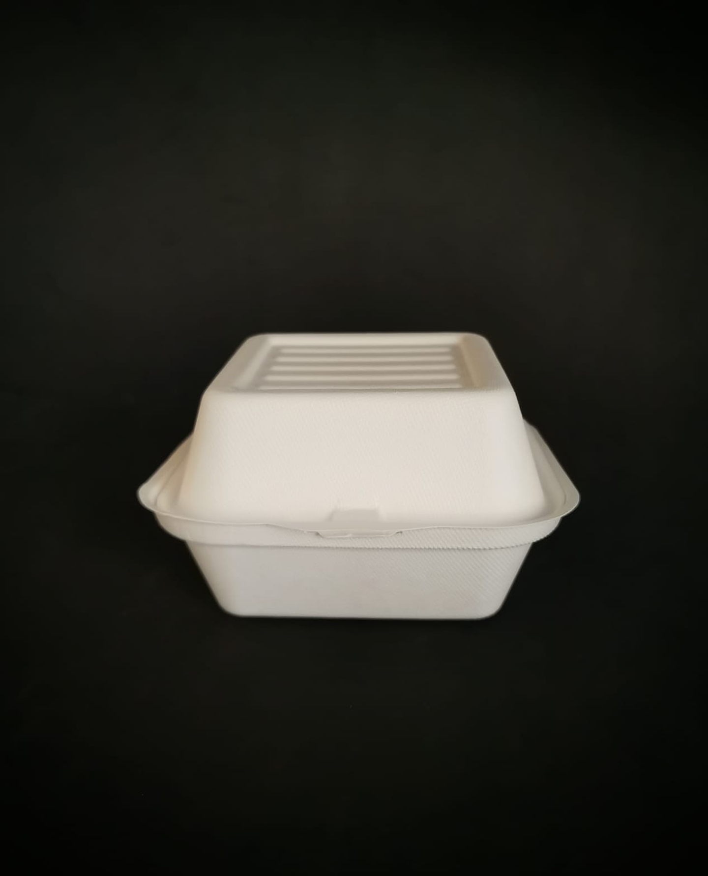 ENVASE BIODEGRADABLE HAMBURGUESA GRANDE 50UN/PAQ 1