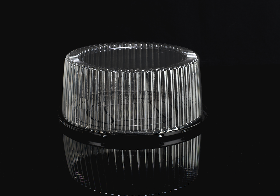 ENVASE TORTA 98-45 23X10 CM 1