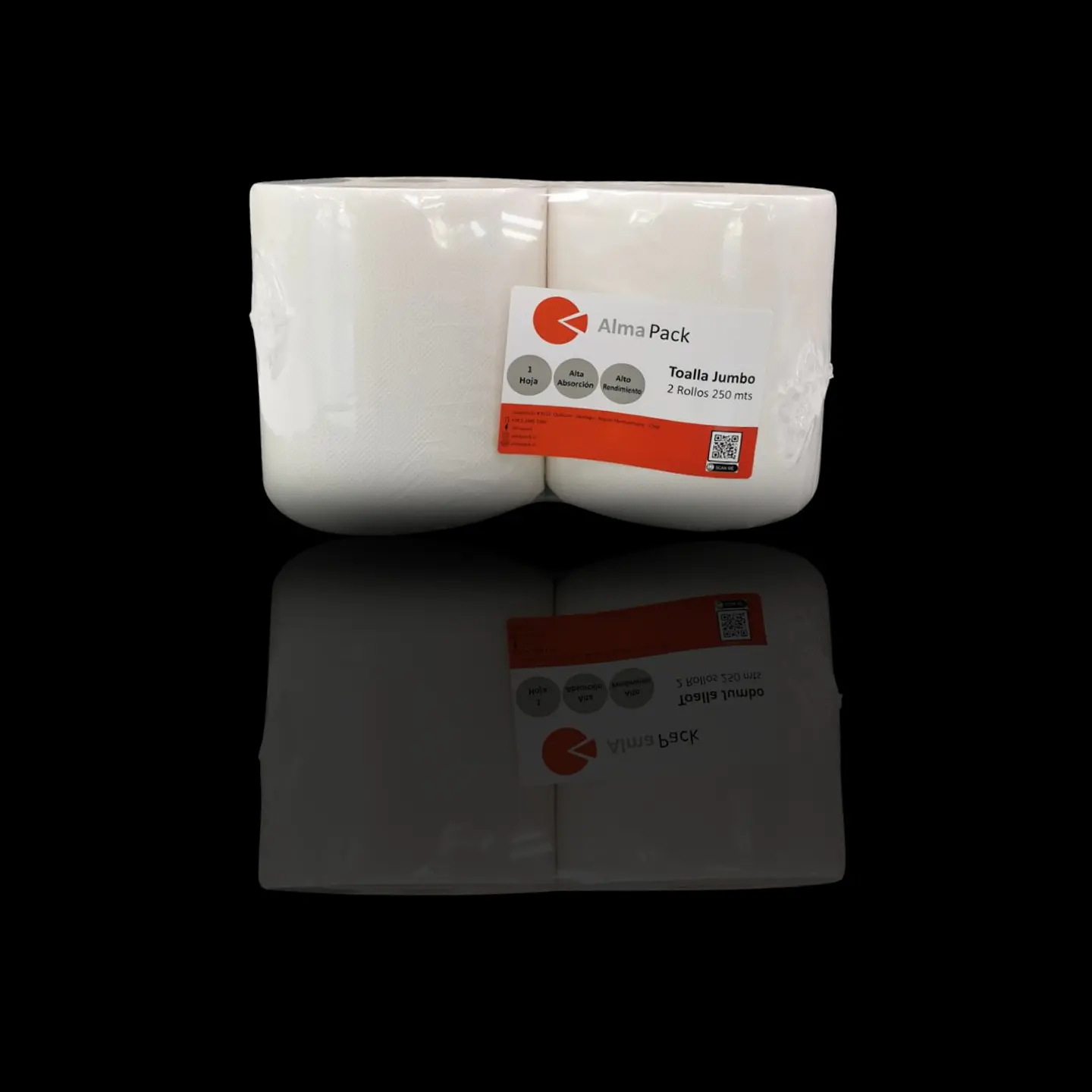 TOALLA PAPEL 250X2 2