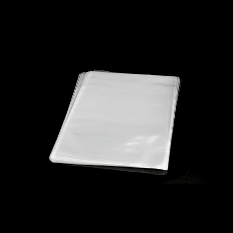 BOLSA PP 20X30 100UNXPAQ