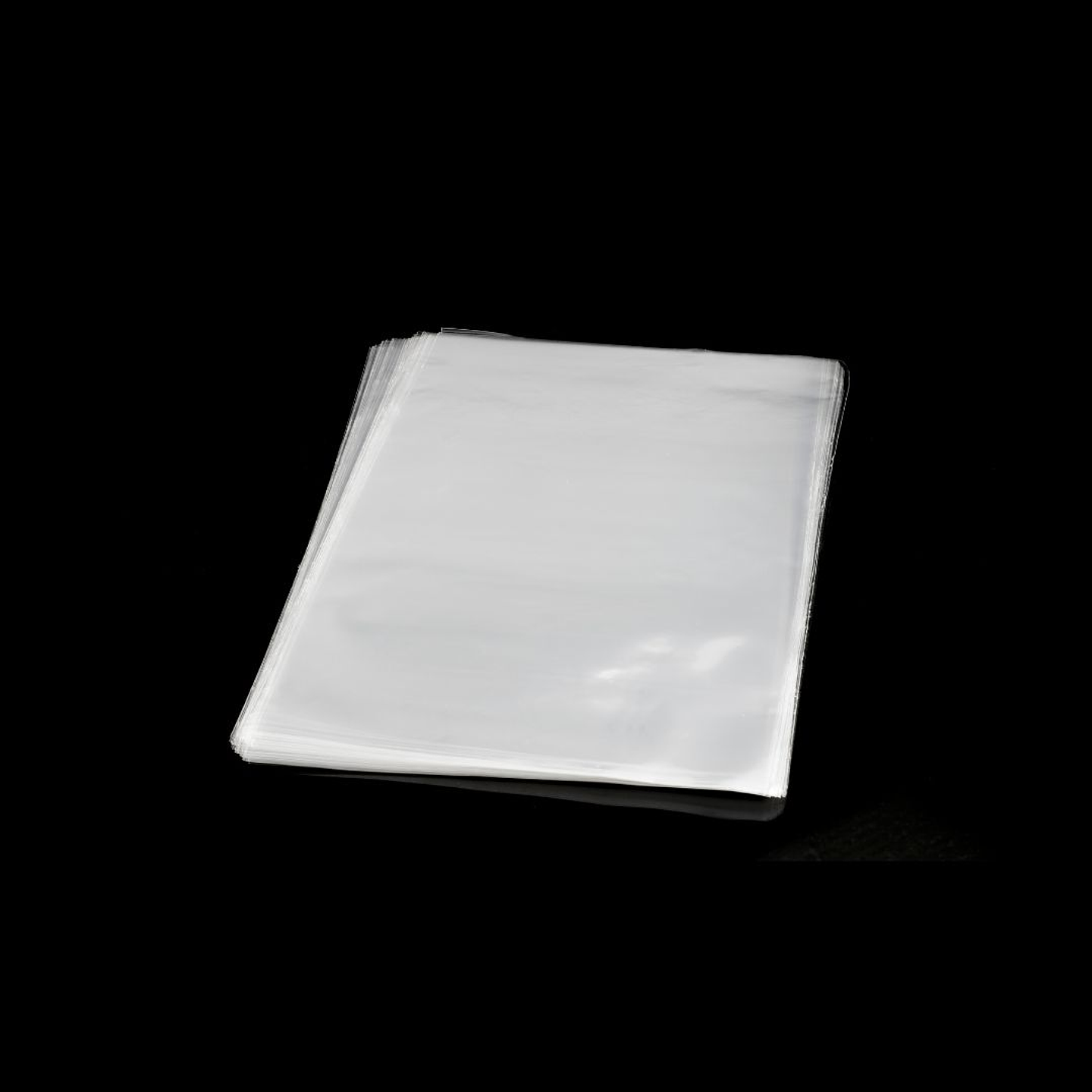 BOLSA PP 20X30 100UNXPAQ 1