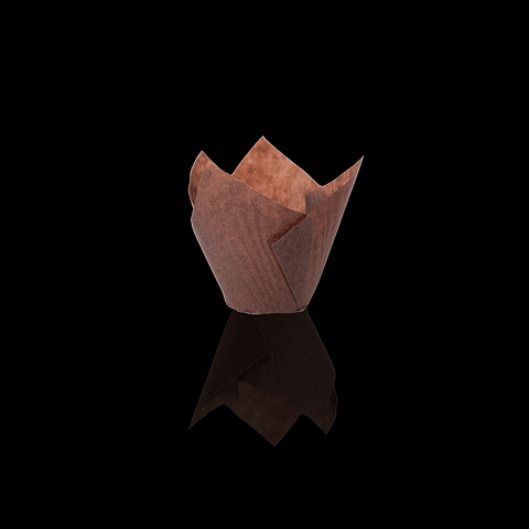 TULIPAS CAFÉ 250UN/CAJA