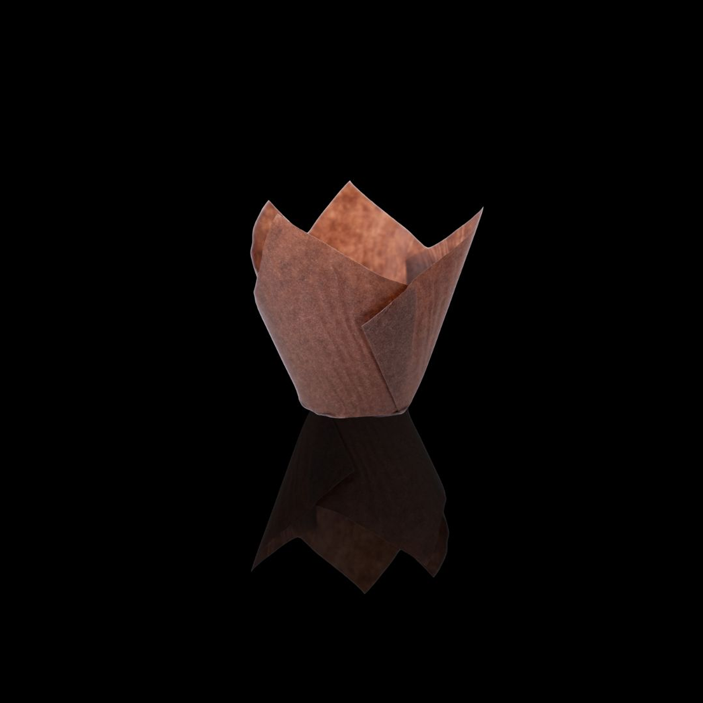 TULIPAS CAFÉ 250UN/CAJA 1