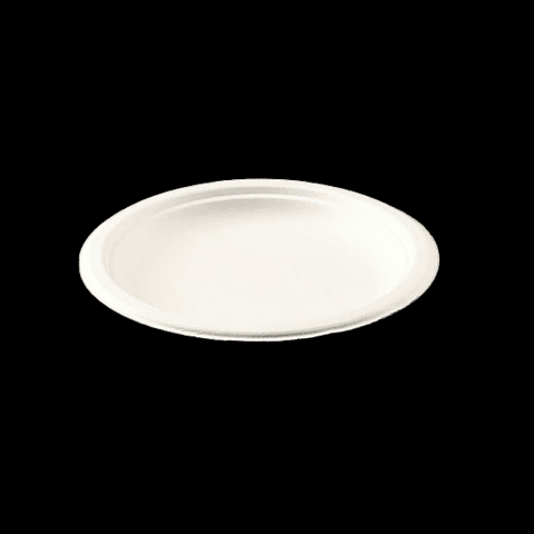 PLATO BIODEGRADABLE 26CM OVALADO $ 42 CADA UNO  (VENTA X 50UN/PAQ) 