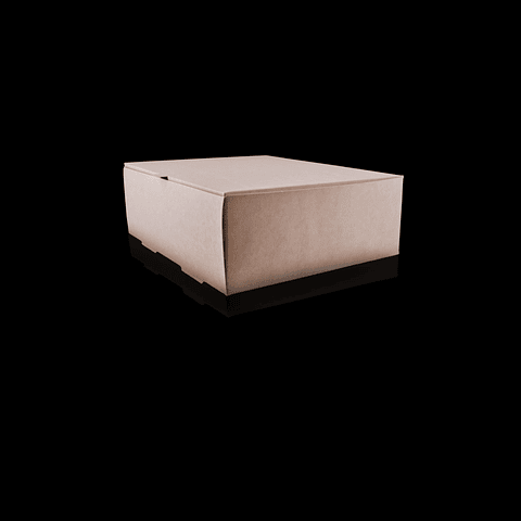 CAJA MULTIUSO (THEBOX) 5200 A D (200UN/CAJA)