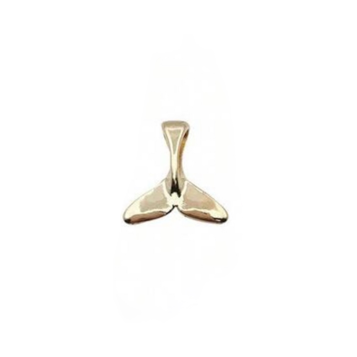 CHARM COLA BALLENA 1