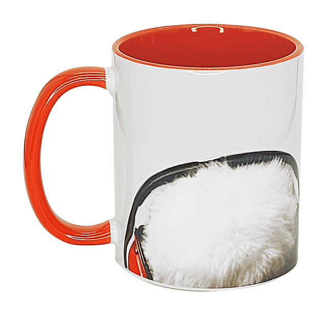 Tazón Cerámico con boca abajo 31 Minutos Juanin Juan Harry DTF UV