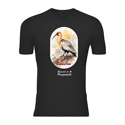 Polera Unisex 100% Poliéster Bandurria