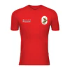 Polera Unisex 100% Poliéster Chincol