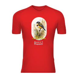 Polera Unisex 100% Poliéster Tachurí