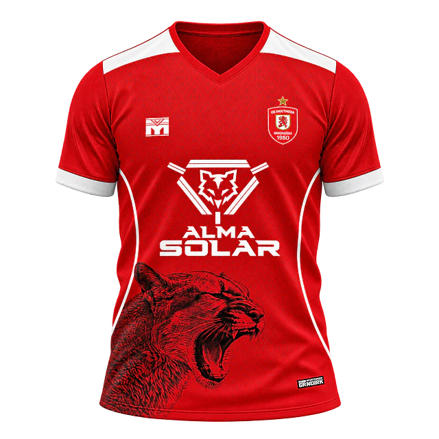 Camiseta de Futbol Club Deportivo Panguipulli Puma Trival (Alternativa)