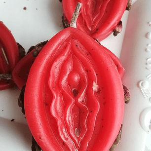 «Mea Vulva Mea Maxima Vulva»