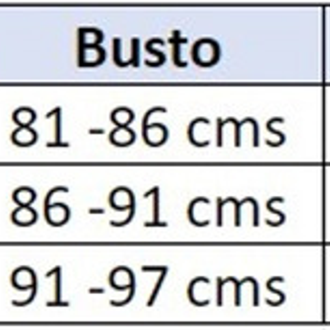 Bikini Tipo Tanga Color Floral - Bik02 4