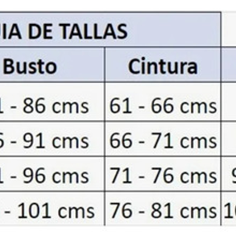 Bikini Tiro Alto - Bikaltofu 4