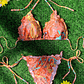Bikini 2 Piezas - Aurora - Miniatura 2