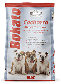 Bokato Cachorros