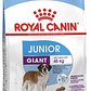 Royal Canin - Giant Junior - Miniatura 2