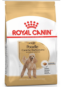 Royal Canin - Poodle Adulto