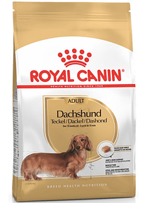 Royal Canin - Dachshund Adulto