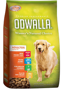 Odwalla