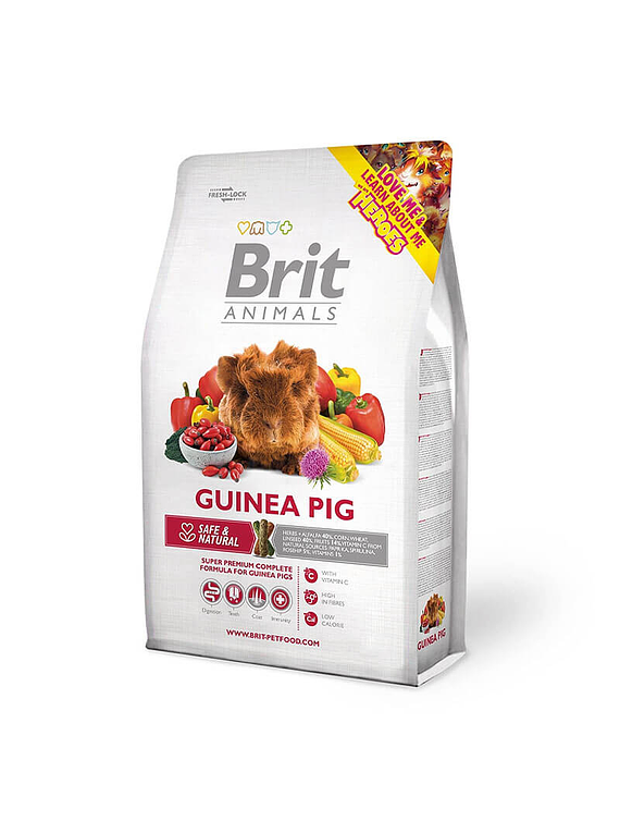 Brit Animals - Guinea Pig