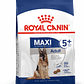 Royal Canin - Maxi Adulto - 5+ - Miniatura 2
