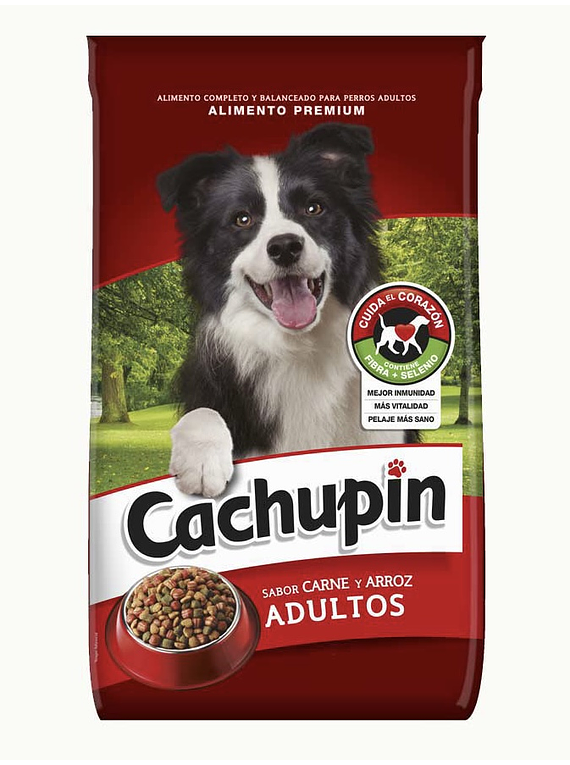 Cachupin - Adulto - Carne y Arroz