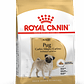 Royal Canin - Pug Adulto - Miniatura 2