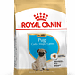 Royal Canin - Pug Puppy - Miniatura 2