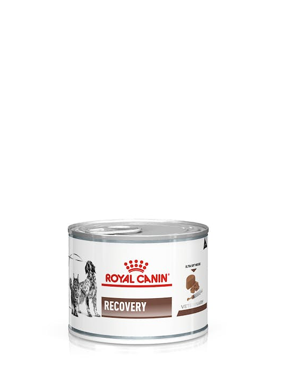 Royal Canin - Recovery Lata