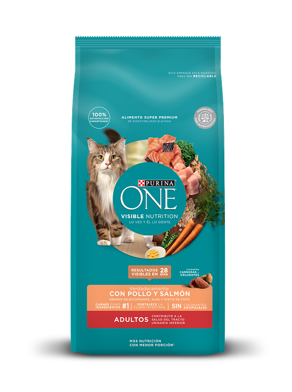 Purina One - Adulto Pollo y Salmón