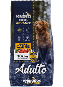 Knino Dog - Advance