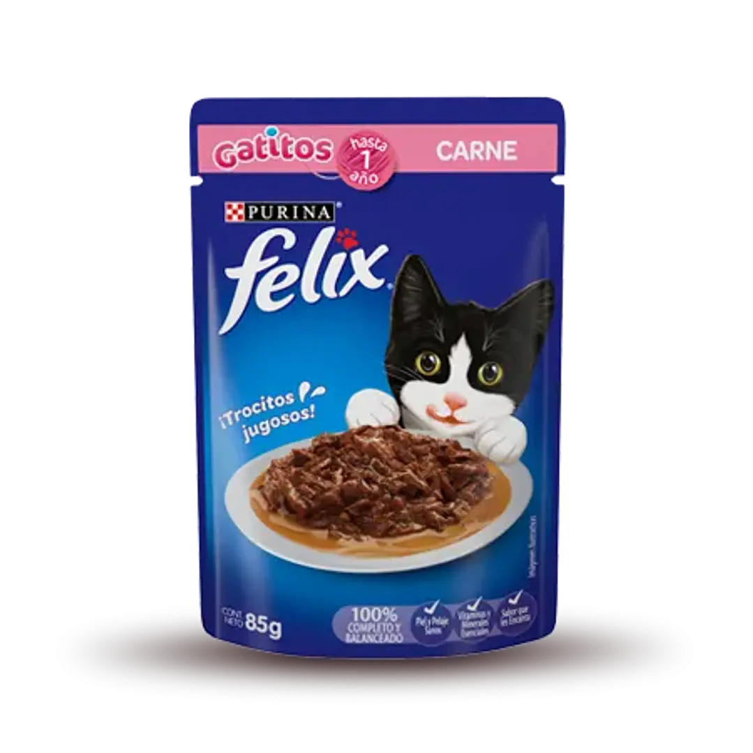 Felix - Pouch Gatitos Carne 1