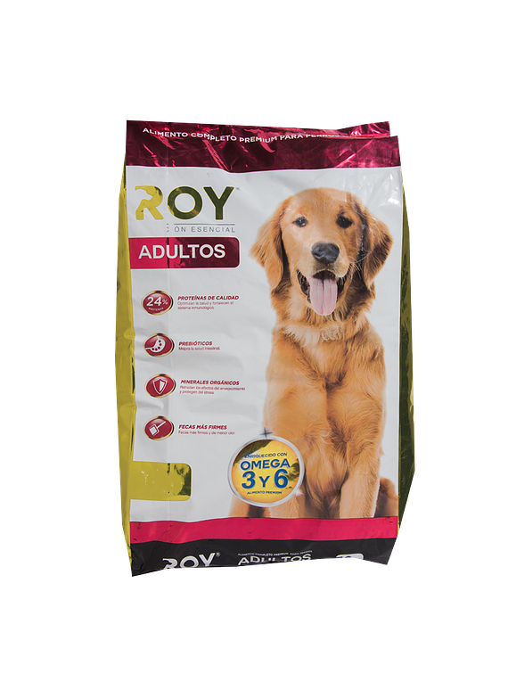 ROY - Adulto