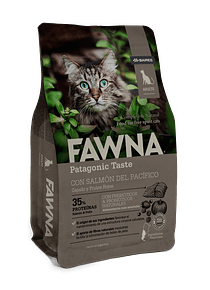 Fawna - Gato Adulto