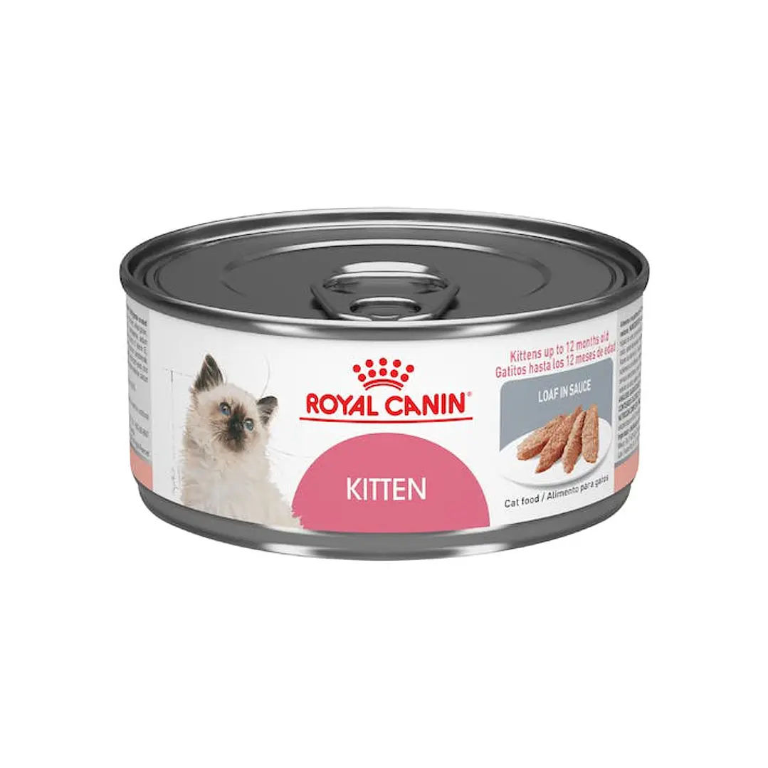 Royal Canin - Kitten Lata 1