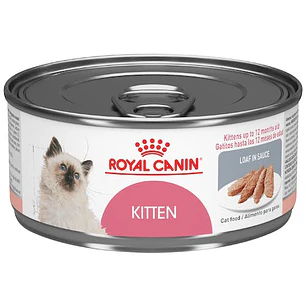 Royal Canin - Kitten Lata