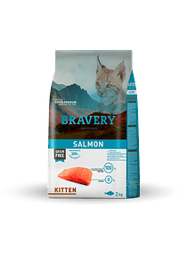 Bravery - Salmón Kitten