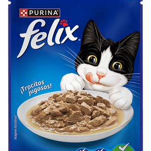 Felix - Pouch Pollo